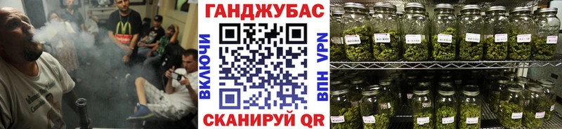 Конопля гибрид  Кадников 